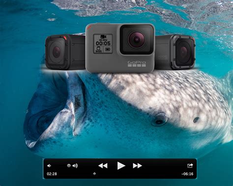 beginners guide  gopro  underwater video underwater photography guide