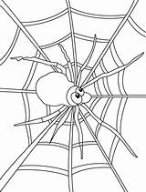 Spider Bestcoloringpages Insect sketch template