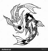 Yang Coloring Carp Koi Yin Pages Ying Fish Illustration Tattoo рисунки Drawing Vector Pez Printable контурные Designlooter Drawings тату Shutterstock sketch template