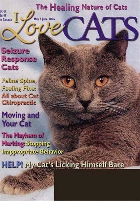 i love cats magazine topmags