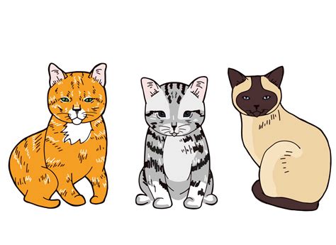 koleksi gambar kucing comel manja kartun hd wallpaper bukit besi blog
