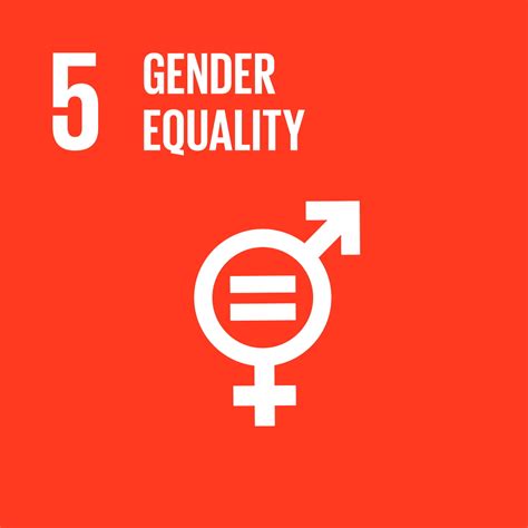 goal 5—achieving gender equality and empowering women and girls is sdg