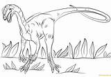 Jurassic Park Dilophosaurus Coloring Pages Color Printable Dinosaurs Online sketch template