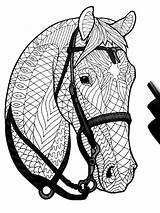 Zentangle Bridled Colorear Caballos Färbung Pferd sketch template