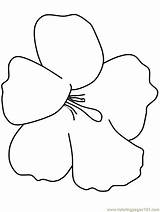 Coloring Hawaiian Pages Flowers Printable Popular Kids sketch template