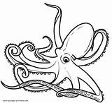 Coloring Sea Pages Animals Octopus Book Ocean Printable sketch template