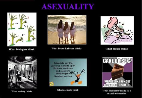 Asexual Meme The Asexual Life Pinterest Meme