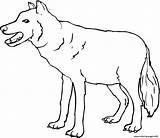 Wolf Coloring Pages Printable sketch template