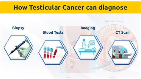 Prolife Cancer Centre Testicular Cancer Treatment In Pune Dr Sumit