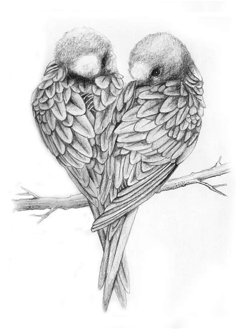 Drawings Of Love Birds Love Birds Drawing Love Birds ♥ Things To