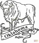 Oklahoma Coloring Buffalo Pages Printable Drawing Printables Bills Sheets State History Color Crafts Symbols Flag Paper Tattoo Skull Dolls Family sketch template