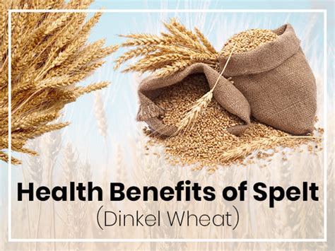 health benefits  spelt dinkel wheat boldskycom