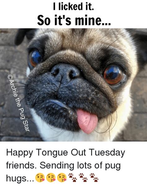 I Licked It So It S Mine Happy Tongue Out Tuesday Friends