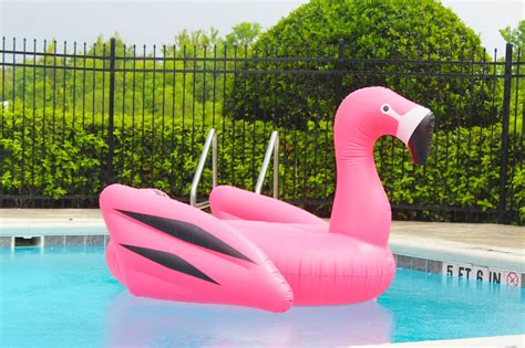 love  kris flamingo floaty