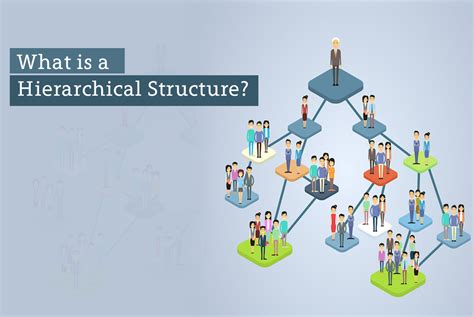 hierarchical structure