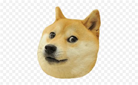 roblox doge head png