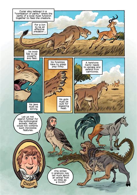 Science Comics Dinosaurs Boing Boing