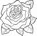 Outline Drawing Flower Easy Flowers Rose Clipart Line Cliparts sketch template