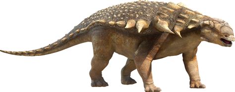 Image Ankylosaur Png Walking With Dinosaurs Wiki Fandom Powered