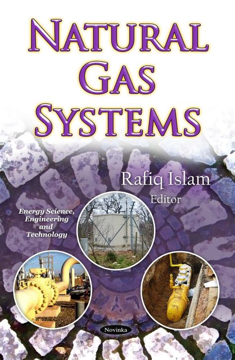 natural gas systems nova science publishers