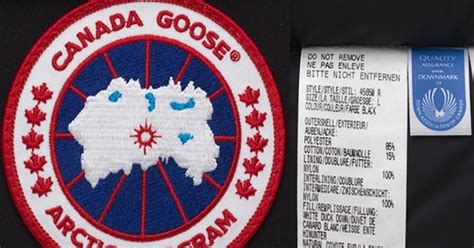 How To Tell Real Vs Fake Canada Goose Jackets 7 Authenticity Checks