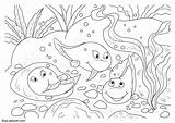 Coloring Frog Tadpoles Life Cycle Pages Teachersmag sketch template
