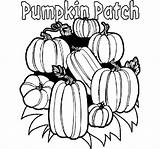 Pumpkin Coloring Patch Pages Templates Adults Template sketch template
