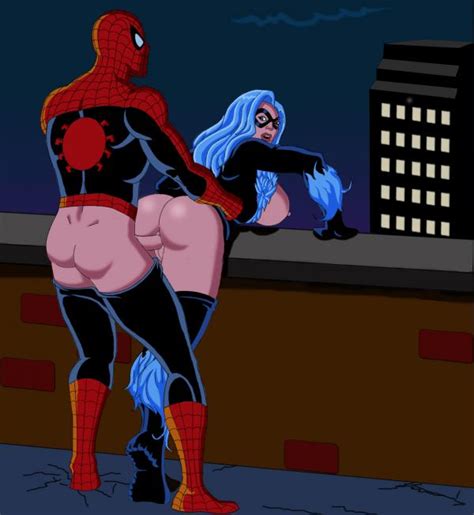 spiderman fucks black cat from behind on a roof top spiderman hentai