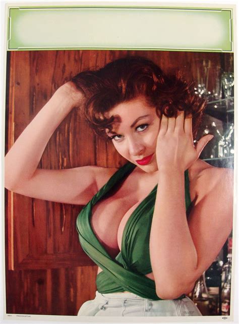 Risque Redhead Bartender Vintage 1960 Pin Up Provocative