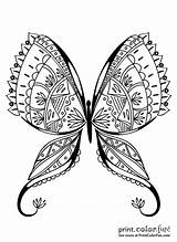 Butterflies Printcolorfun sketch template