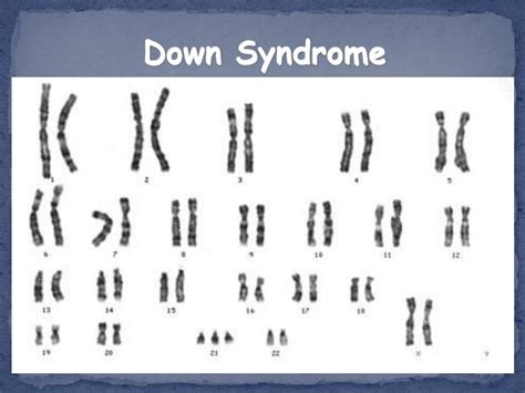 ppt pedigrees and karyotypes powerpoint presentation id 5830826