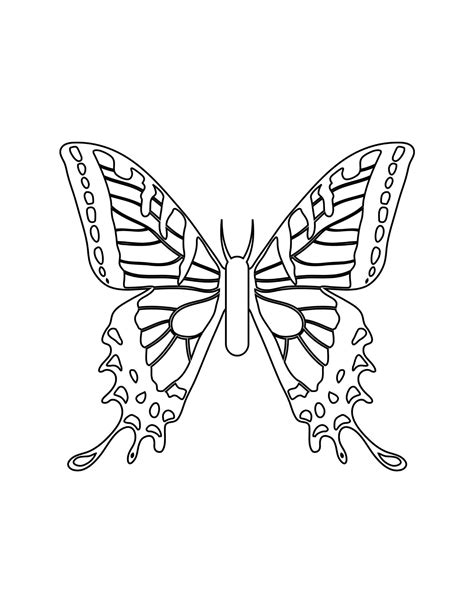 butterfly coloring pages etsy