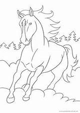 Ausmalbilder Pferde Ausdrucken Malvorlagen Bibi Ostwind Pferd Drucken Lassie Pferden Páginas Malvorlage Sammlung Affefreund Erwachsene Malen Zeichenvorlagen Onlycoloringpages sketch template