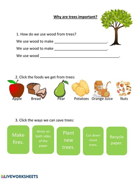 food  trees worksheets worksheets