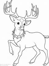 Reindeer Elf sketch template