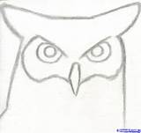 Easy Beginners Sketching Draw Drawing Things Drawings Sketches Step Sketch Cool Simple Great Owl Beginner Kids Pencil Horned Online Animals sketch template