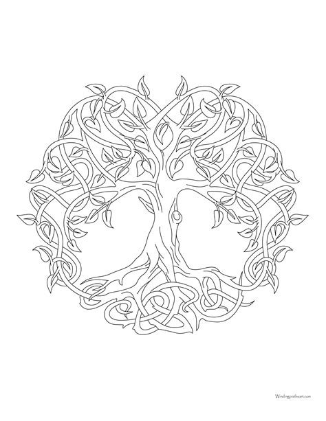 tree  life coloring pages coloring home