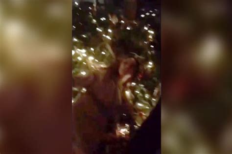 watch drunk charlotte crosby knock over a christmas tree