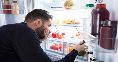 common refrigerator problems and how to fix them homeserve