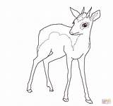 Dik Coloring Pages Male Drawing Antelope Supercoloring Antelopes Categories sketch template