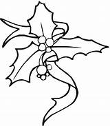 Christmas Holly Coloring Pages Getcolorings Color sketch template