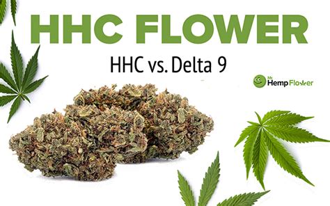 hhc  delta  thc differences similarities effects potency safety