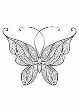 Papillon Motifs Insectes Jolis Superbes sketch template