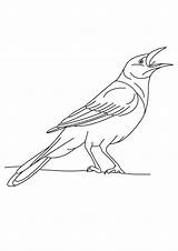 Crow Coloring Pages Church sketch template