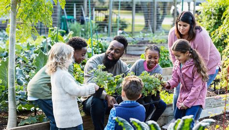 community gardens       find  nourishing
