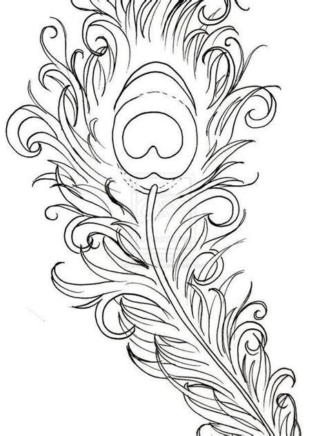 detailed peacock  images peacock coloring pages animal