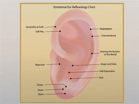 Ear Reflexology Pressure Points Useful Information