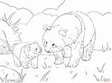 Panda Coloring Cute Mother Pages Cub Online sketch template