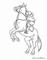 Horse Colorir Trot Cavalo Ausmalen Pferd Trainiert Montando Hellokids Designlooter Drucken sketch template