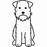 Griffon Wirehaired Pointing sketch template